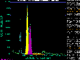 Picture of the 
histogram.